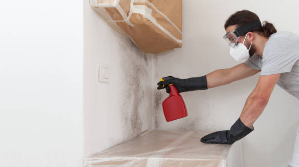 Professional Crawl Space Mold Remediation technician working in Addison, IL